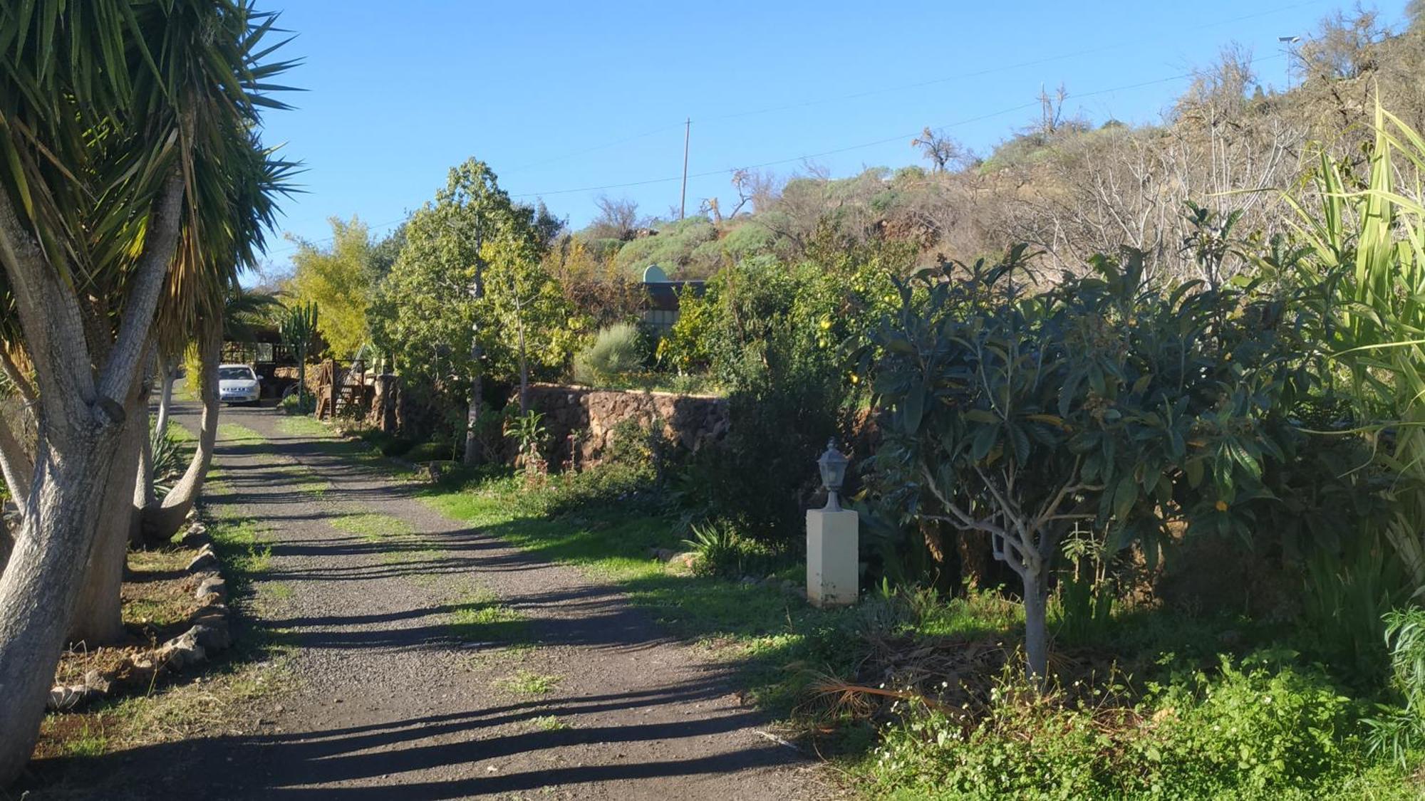 Finca Panorama Tijarafe Eksteriør bilde
