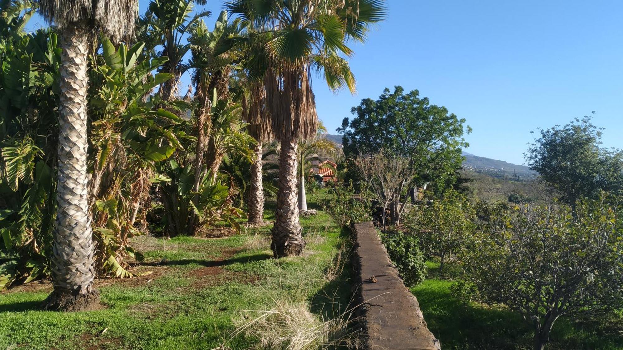 Finca Panorama Tijarafe Eksteriør bilde