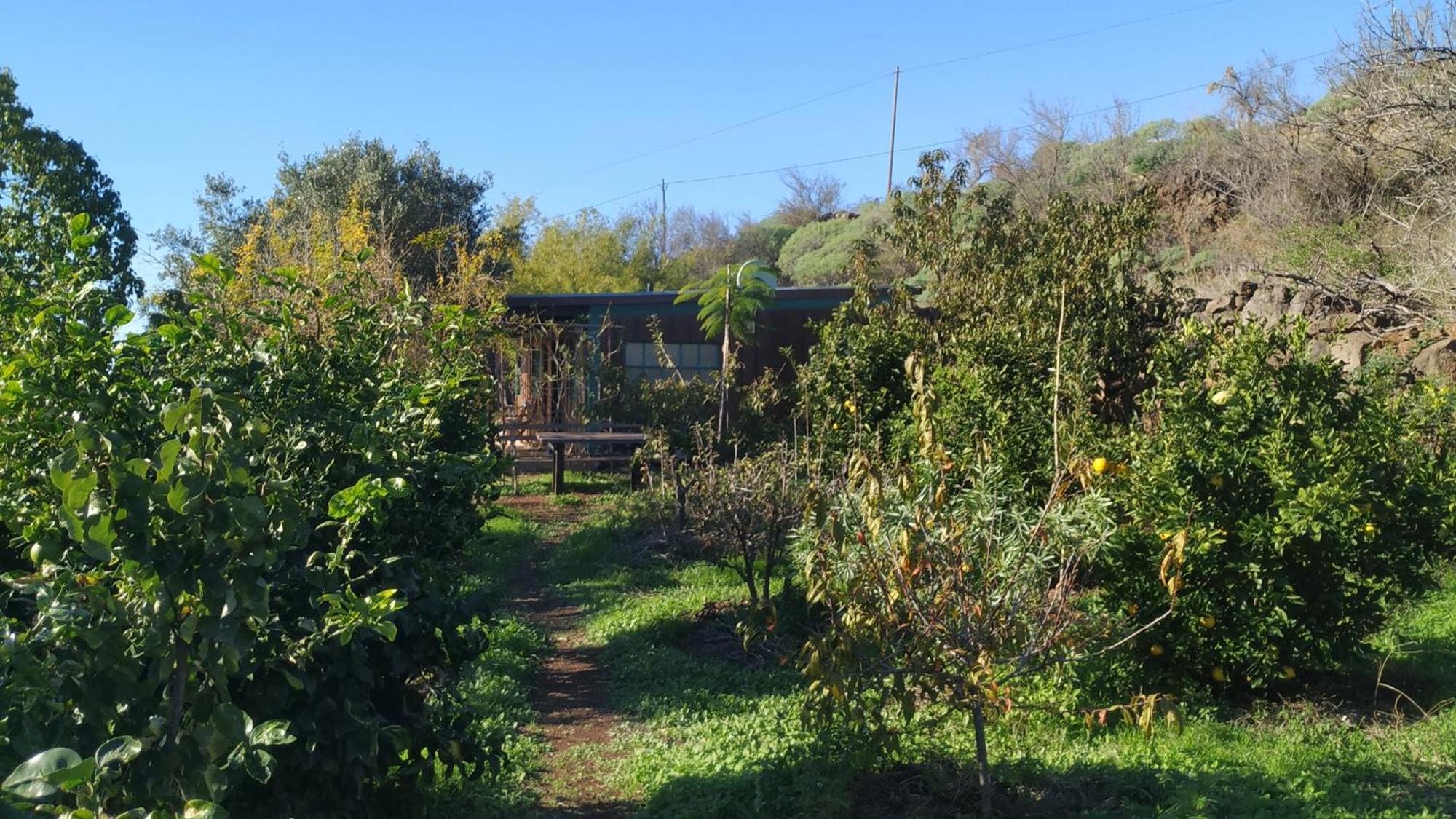 Finca Panorama Tijarafe Eksteriør bilde